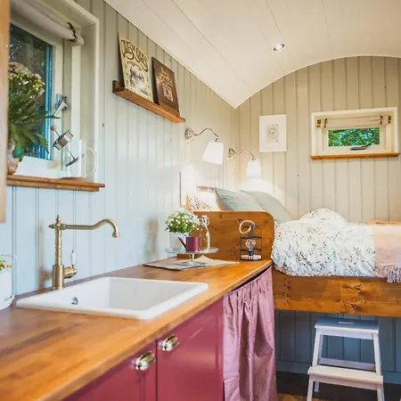 Tiny Houses Bij De Compagnons Waskemeer Exterior photo