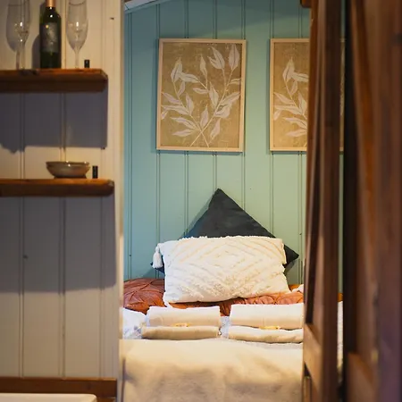 Tiny Houses Bij De Compagnons Waskemeer Exterior photo