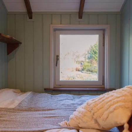 Tiny Houses Bij De Compagnons Waskemeer Exterior photo